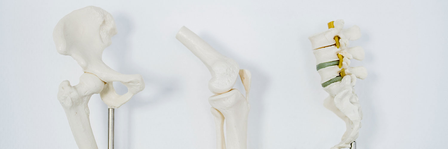 orthopaedie-weilimdorf-garkuscha-g1 orthopaedie-weilimdorf-garkuscha- g1